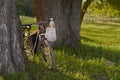 A linen bag with a bouquet of wildflowers hangs on the handlebars of a bicycle