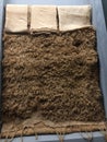 Linen carpet from pharaoh age cairo in egypt