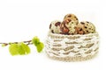 Linen crochet lace basket with Easter eggs. Spring linden tree branch with green leaves and buds and Quail eggs. The photo of East Royalty Free Stock Photo