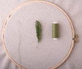 Linen fabric for embroidery is stretched in a round wooden hoop, and a green sprig of a mimosa plant, green threads of matching Royalty Free Stock Photo