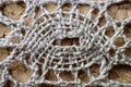 Linen lace macro Royalty Free Stock Photo