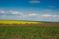 Lines of arable land and rapeflowerfield landscape Royalty Free Stock Photo