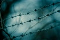 Lines of barbed wire to demarcate the border Royalty Free Stock Photo