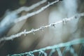 Lines of barbed wire to demarcate the border Royalty Free Stock Photo