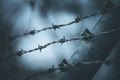 Lines of barbed wire to demarcate the border Royalty Free Stock Photo