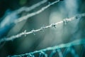 Lines of barbed wire to demarcate the border