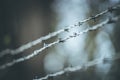 Lines of barbed wire to demarcate the border