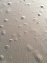 Lines and Circle pattern in sand beach texture, Crab nest, Abstract background concept