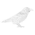 Lines drawn raven. Doodle sketch crow bird for coloring book page.