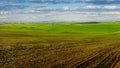 lines of green field, colorful slopes of spring time Royalty Free Stock Photo