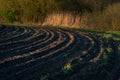 plowed field, harrow lines. Arable curved furrows in field. A freshly ploughed field showing a geometric pattern