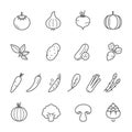 Lines icon set - vegetable Royalty Free Stock Photo