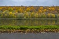 Lines in nature. Autumn colorful park. Overcast sky, yellow forest, mirror lake, green grass, fall fallen leaves, dark gray Royalty Free Stock Photo