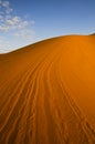 Lines on orange desert dune