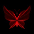 Lines in the shape of a butterfly vector illustration. Graphic image of a butterfly silhouette on a black background