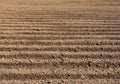 Lines of soil made by tractors,agriculture in Thailand