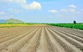 Lines of soil made by tractors has blue sky and background