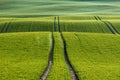 Lines and waves in detail look at the fields in the spring. Royalty Free Stock Photo