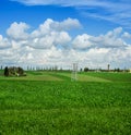 waves of young winter wheat shoots on field with cloudly blue sky Royalty Free Stock Photo