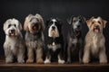 a lineup of dogs, each with their own unique look and personality