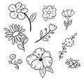 Linework - flowers set. Black handmade line - digital art for print, stikers or home.