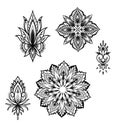 Great mandala art flash set