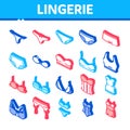 Lingerie Bras Panties Isometric Icons Set Vector