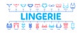 Lingerie Bras Panties Minimal Infographic Banner Vector