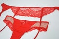 Lingerie. Bright red set of sexy underwear - panties and garter belt for stockings on a white background. Royalty Free Stock Photo