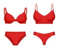 Lingerie. Female underwear bikini and bra realistic style panties and trousers for correction style decent vector mockup