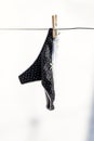 Lingerie hanging on a terrace Royalty Free Stock Photo