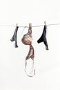 Lingerie panties and bra hanging on a terrace Royalty Free Stock Photo