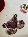 Lingerie set  on a beige background Royalty Free Stock Photo