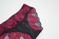 Lingerie. Black panties with bright pink lace on a white background. Fashionable women's underwear Royalty Free Stock Photo