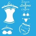 Lingerie stencils blue set