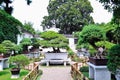 Lingering Garden bonsai