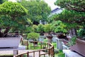 Lingering Garden bonsai garden