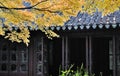Lingering garden in suzhou Royalty Free Stock Photo