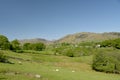 Lingmoor Fell above Little Langdale in Lake District Royalty Free Stock Photo