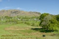 Lingmoor Fell above Little Langdale in Lake District Royalty Free Stock Photo