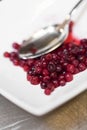 Lingonberries Royalty Free Stock Photo