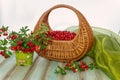 Lingonberries in a beautiful wicker basket on a wooden table. Royalty Free Stock Photo