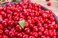 Lingonberries Royalty Free Stock Photo