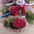 Lingonberries Royalty Free Stock Photo