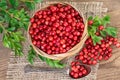Lingonberry basket top view Royalty Free Stock Photo