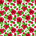 Lingonberry seamless pattern. Wild berries on a white background. Northern blue berry and green leaves. Vector botanical
