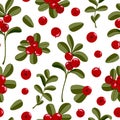 Lingonberry vector seamless pattern. Cowberry background. Northern red forest berries and branches with leaves isolated