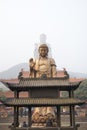 China Wuxi Lingshan Buddha