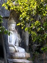 Lingyin temple klippe buddhist grottoes statues Royalty Free Stock Photo