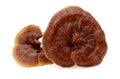 Lingzhi Mushroom Ganoderma Lucidum. Image, ling.